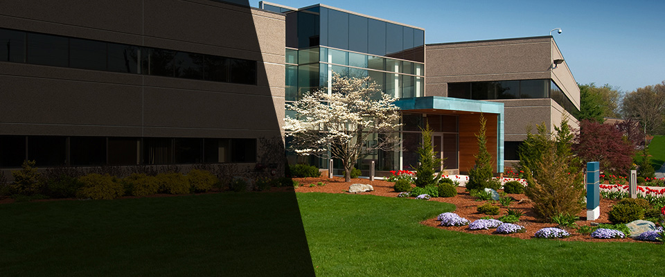 Westport Landscapers