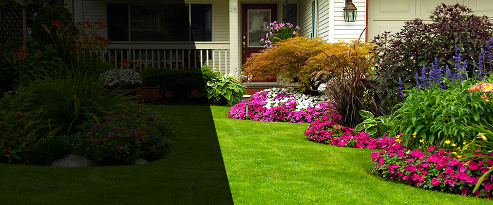 Westport Landscapers