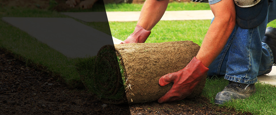 Westport Landscapers